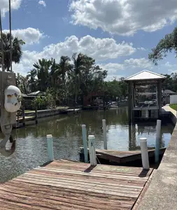 New construction Single-Family house 690 Geneva Pl, Tampa, FL 33606 - image 20