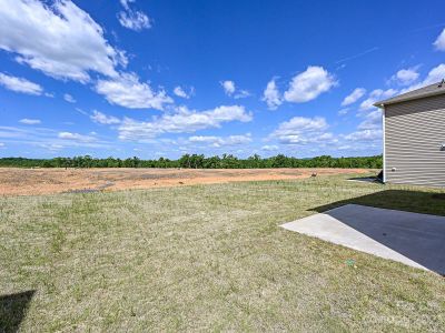 New construction Single-Family house 1008 Jeffery Dean Ct, Albemarle, NC 28001 Decatur- photo 21 21