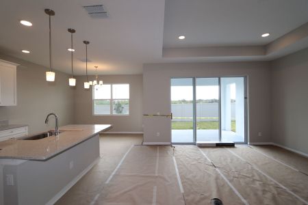 New construction Single-Family house 3150 Adams Cross Dr, Zephyrhills, FL 33540 Miranda- photo 100 100