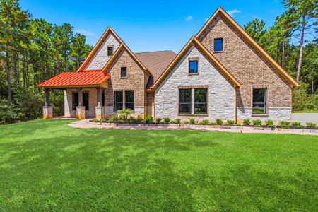 New construction Single-Family house 12956 Shady Woods Ct, Montgomery, TX 77316 - image