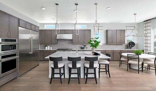 New construction Single-Family house 1167 Oleander St, Castle Rock, CO 80109 plan Holbrook - image 5