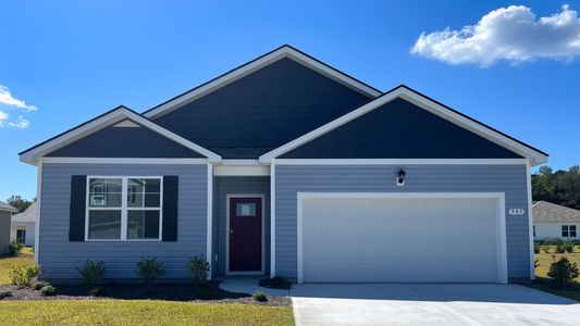 New construction Single-Family house 905 Farmers Passage Lp, Loris, SC 29569 plan CALI - image