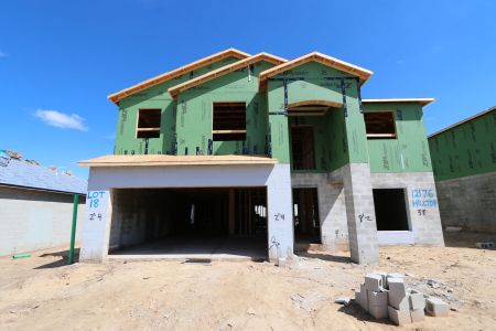 New construction Single-Family house 12176 Hilltop Farms Dr, Dade City, FL 33525 Malibu- photo 16 16