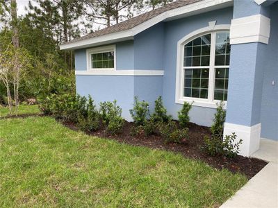 New construction Single-Family house 99 Sloganeer Trl, Palm Coast, FL 32164 null- photo 6 6