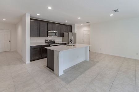 New construction Single-Family house 185 Glass Onion Dr, Groveland, FL 34737 plan Douglas - image 5