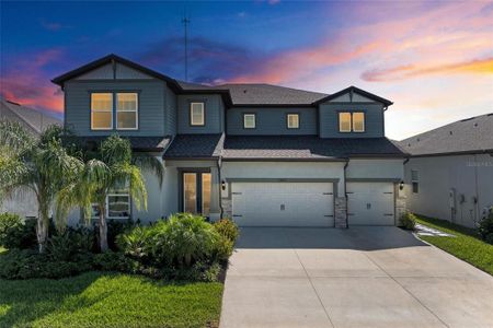 New construction Single-Family house 13071 Willow Grove Dr, Riverview, FL 33579 null- photo 0