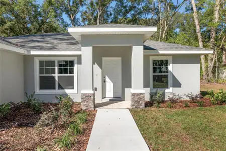 New construction Single-Family house 9965 Sw 192Nd Cir, Dunnellon, FL 34432 - image