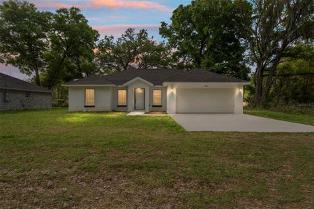 New construction Single-Family house 3368 Se 142Nd, Summerfield, FL 34491 - image