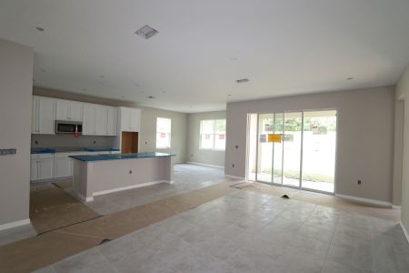 New construction Single-Family house 12008 Hilltop Farms Dr, Dade City, FL 33525 Alenza- photo 97 97