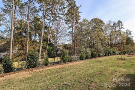 New construction Townhouse house 2033 Bayou Trace Dr, Charlotte, NC 28262 null- photo 31 31