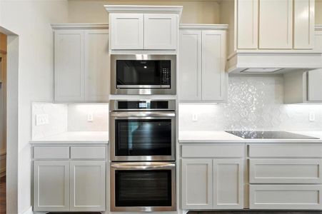 New construction Single-Family house 224 Kilkenny Rd, Poolville, TX 76487 null- photo 6 6