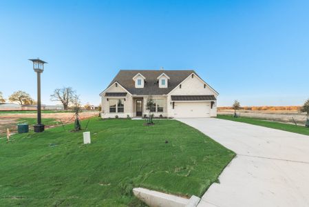 New construction Single-Family house 445 Guadaloupe Ln, Springtown, TX 76082 Aster FE- photo 68 68