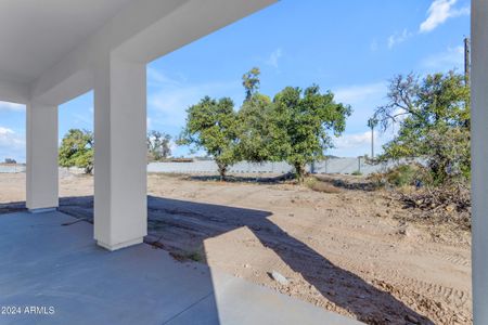 New construction Single-Family house 26761 S 181St Pl, Queen Creek, AZ 85142 null- photo 79 79