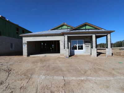 New construction Single-Family house 38413 Tobiano Loop, Dade City, FL 33525 Picasso- photo 34 34