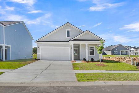 New construction Single-Family house 2091 Lavender Bloom Rd, Ravenel, SC 29470 plan Hartwell - image