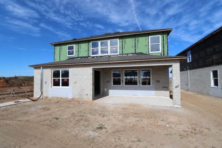 New construction Single-Family house 38326 Tobiano Loop, Dade City, FL 33525 Casanova- photo 41 41