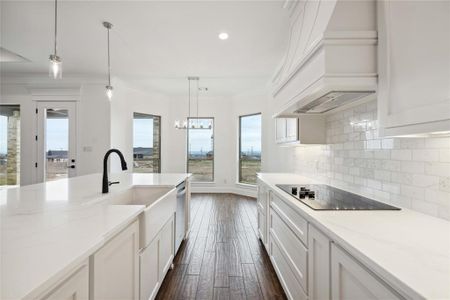 New construction Single-Family house 209 Oak Meadow Ln, Weatherford, TX 76085 null- photo 14 14