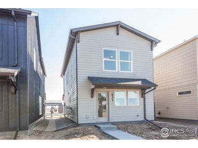 New construction Single-Family house 977 Trumpet Ln, Windsor, CO 80550 - image