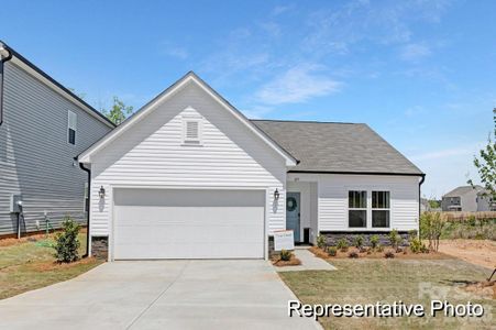 New construction Single-Family house 1606 Autumn Banks Wy, Unit 93p, High Shoals, NC 28077 - image