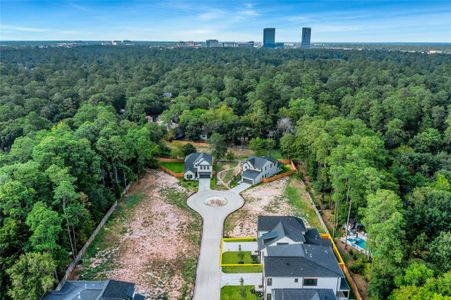 Honeycomb Ridge by Stonefield Homes in The Woodlands - photo 0