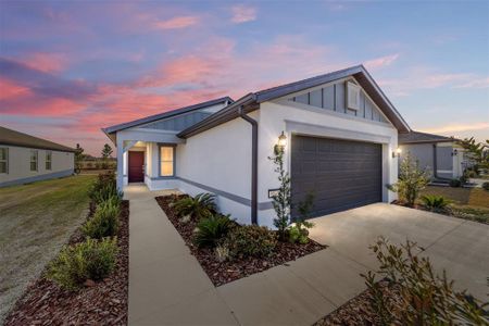 New construction Single-Family house 5543 Sw 85Th Avenue Rd, Ocala, FL 34481 - image