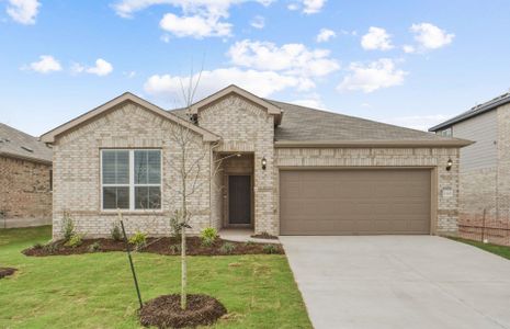 New construction Single-Family house 13305 Cerro Castellan Trce, Manor, TX 78653 plan Parker - image
