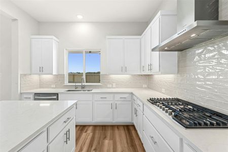 New construction Single-Family house 124 Irvine Pass, Liberty Hill, TX 78642 - image 13