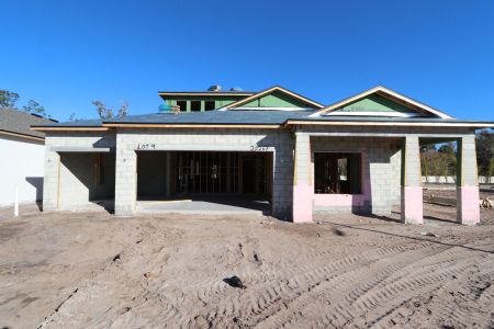 New construction Single-Family house 20267 Oriana Loop, Land O' Lakes, FL 34638 Newport II Bonus- photo 46 46