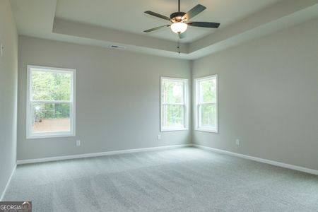 New construction Single-Family house 156 Piney Woods Dr, Newnan, GA 30263 Morton A- photo 6 6