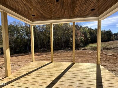 New construction Single-Family house 25 Firefly Lane, Youngsville, NC 27596 - photo 7 7