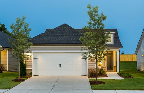 New construction Single-Family house 37 Bull Run Rd, Richmond Hill, GA 31324 plan Compass - image