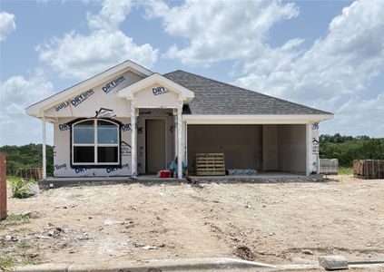 New construction Single-Family house 5242 Lassen Ln, Belton, TX 76513 - image 2