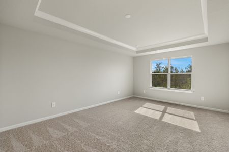 New construction Townhouse house 31472 Woodland Race Lp, Wesley Chapel, FL 33545 Venice- photo 14 14