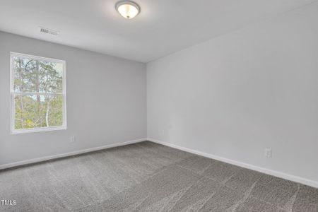 New construction Single-Family house 22 Sagamore Ave, Angier, NC 27501 plan Telfair - image 15