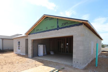 New construction Single-Family house 12263 Hilltop Farms Dr, Dade City, FL 33525 Sentinel- photo 22 22