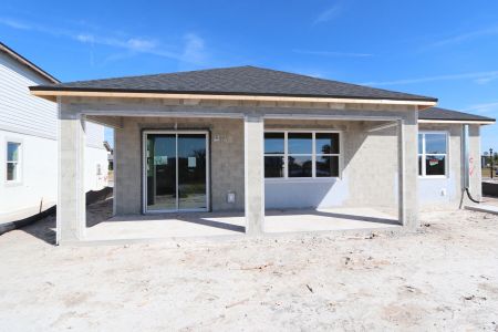 New construction Single-Family house 5691 Maydale Ave, Wesley Chapel, FL 33545 Santa Monica- photo 49 49