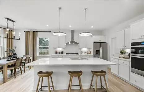 New construction Single-Family house 222 Kindness Cir, McDonough, GA 30252 plan Braddock - image