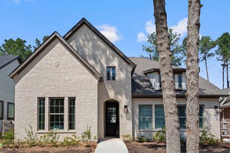 New construction Single-Family house 8134 Yall St, Montgomery, TX 77316 - image