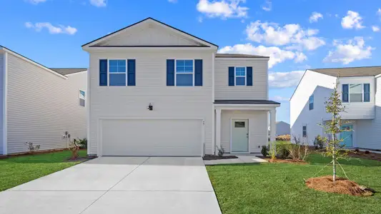 New construction Single-Family house 772 Sanctum St, Ridgeland, SC 29936 plan Robie - image