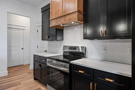 New construction Single-Family house 1025 Bermes Ct, Brock, TX 76087 - image 13