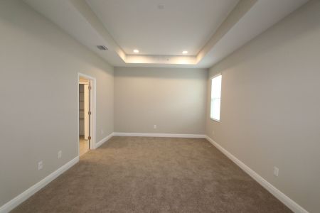 New construction Single-Family house 4763 Beachrose Way, Lakeland, FL 33811 Picasso- photo 47 47