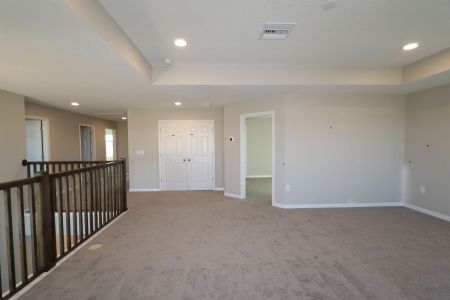 New construction Single-Family house 38338 Tobiano Loop, Dade City, FL 33525 Mira Lago- photo 148 148