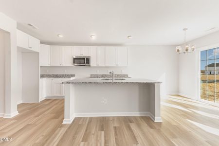 New construction Single-Family house 54 Littlefield Ln, La Grange, NC 28551 - image 7