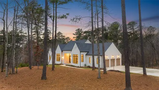 New construction Single-Family house 1131 Broadpoint Dr, Greensboro, GA 30642 - image