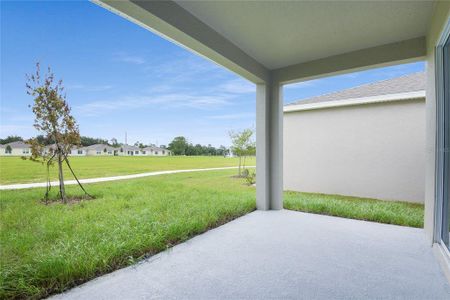 New construction Single-Family house 154 Bull Frog Ln, Umatilla, FL 32784 Slate- photo 20 20