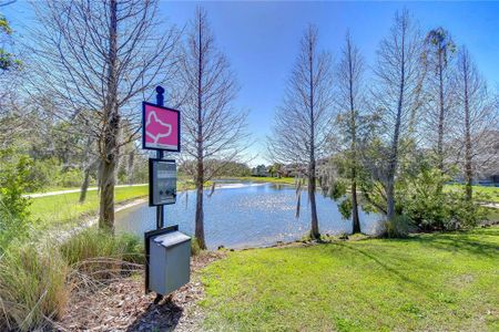 New construction Townhouse house 1291 Colt Creek Pl, Wesley Chapel, FL 33543 null- photo 81 81