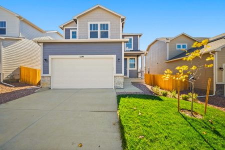 New construction Single-Family house 12001 Lake Trout Dr, Colorado Springs, CO 80925 plan Orchid - image 4