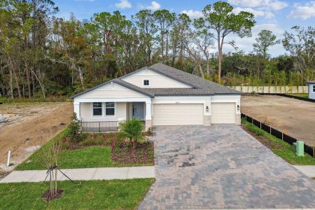 New construction Single-Family house 20219 Oriana Loop, Land O' Lakes, FL 34638 Corina  III- photo 109 109