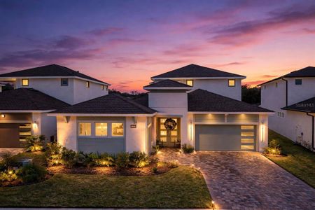 New construction Single-Family house 10537 Torchwood Sea Wy, San Antonio, FL 33576 - image