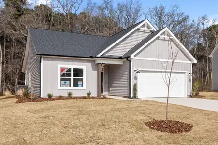 New construction Single-Family house 151 Michter St, Vass, NC 28394 - image
